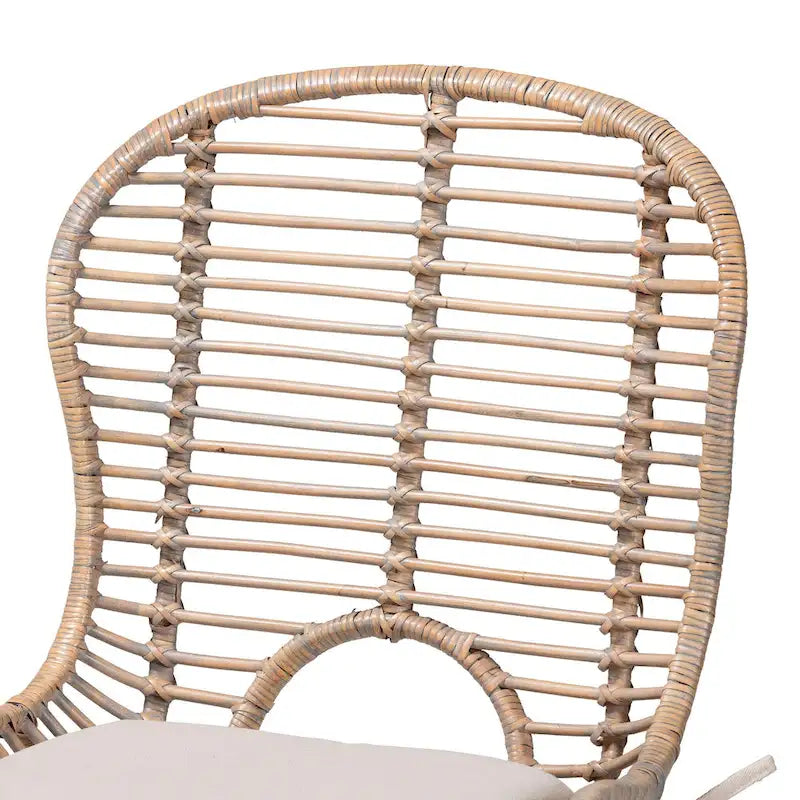 Modern Bohemian Rattan and Metal 2-Piece Dining Chair Set
